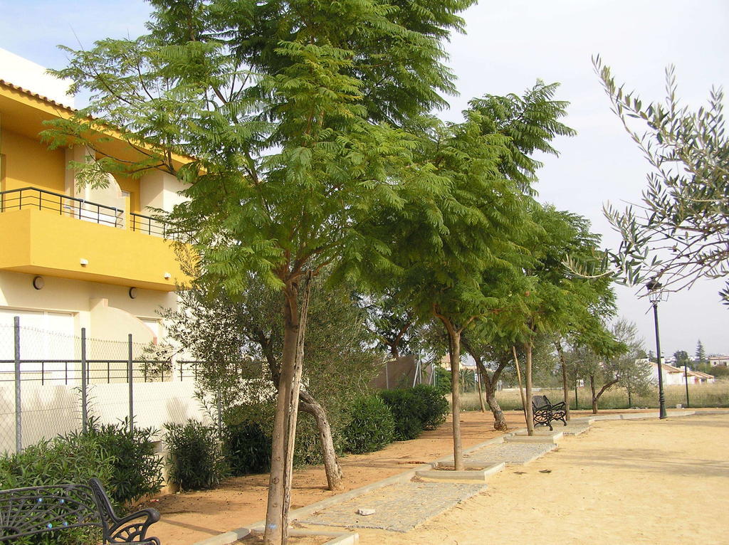 Apartamentos Turisticos Los Girasoles Эспартинас Экстерьер фото